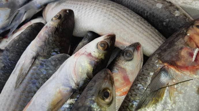 "حماية المستهلك" في سوريا تقتر...