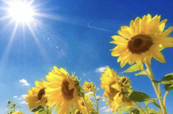 سوريا.. تحذيرات من ارتفاع الحر...