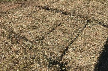 تقرير: تلال من "السيلاج" تترك...