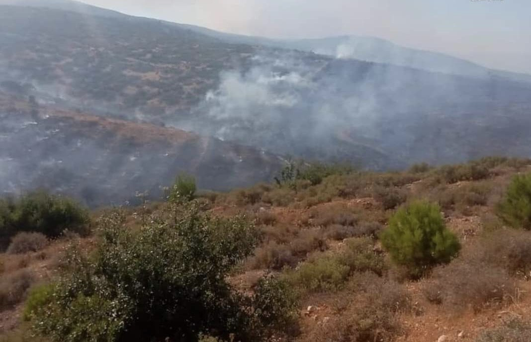 حرائق تلتهم عشرات الدونمات في...