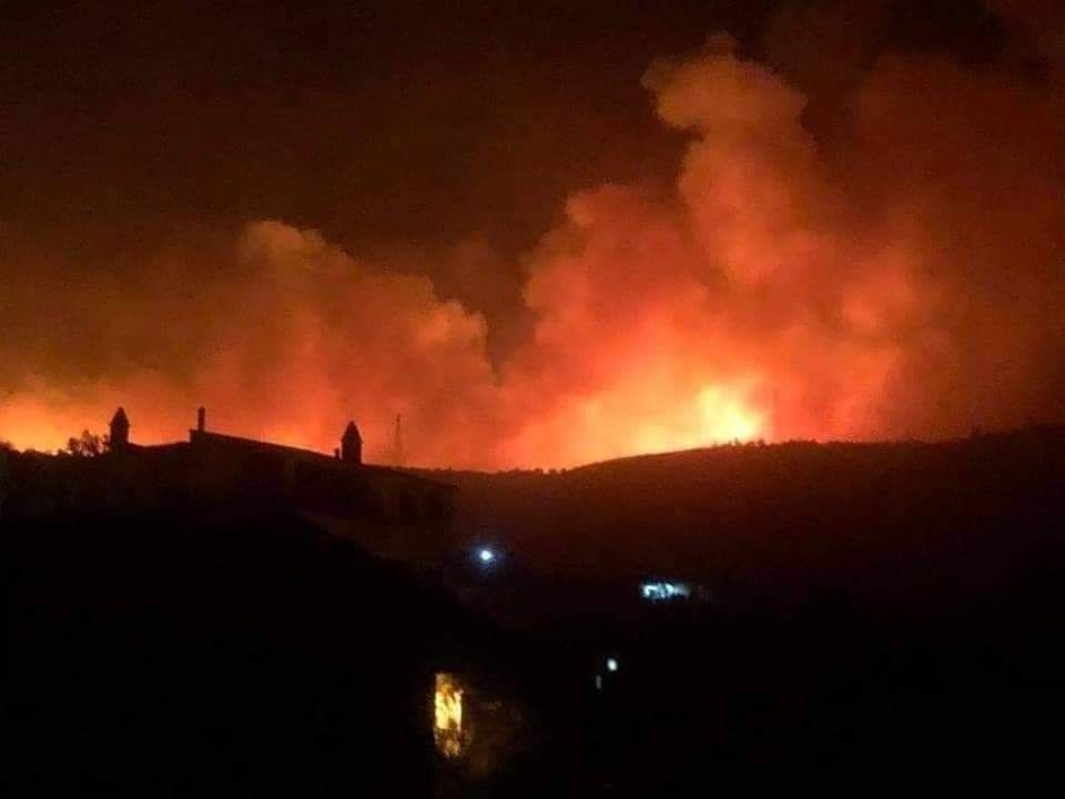 إقرار رسمي من قبل النظام بأن ح...