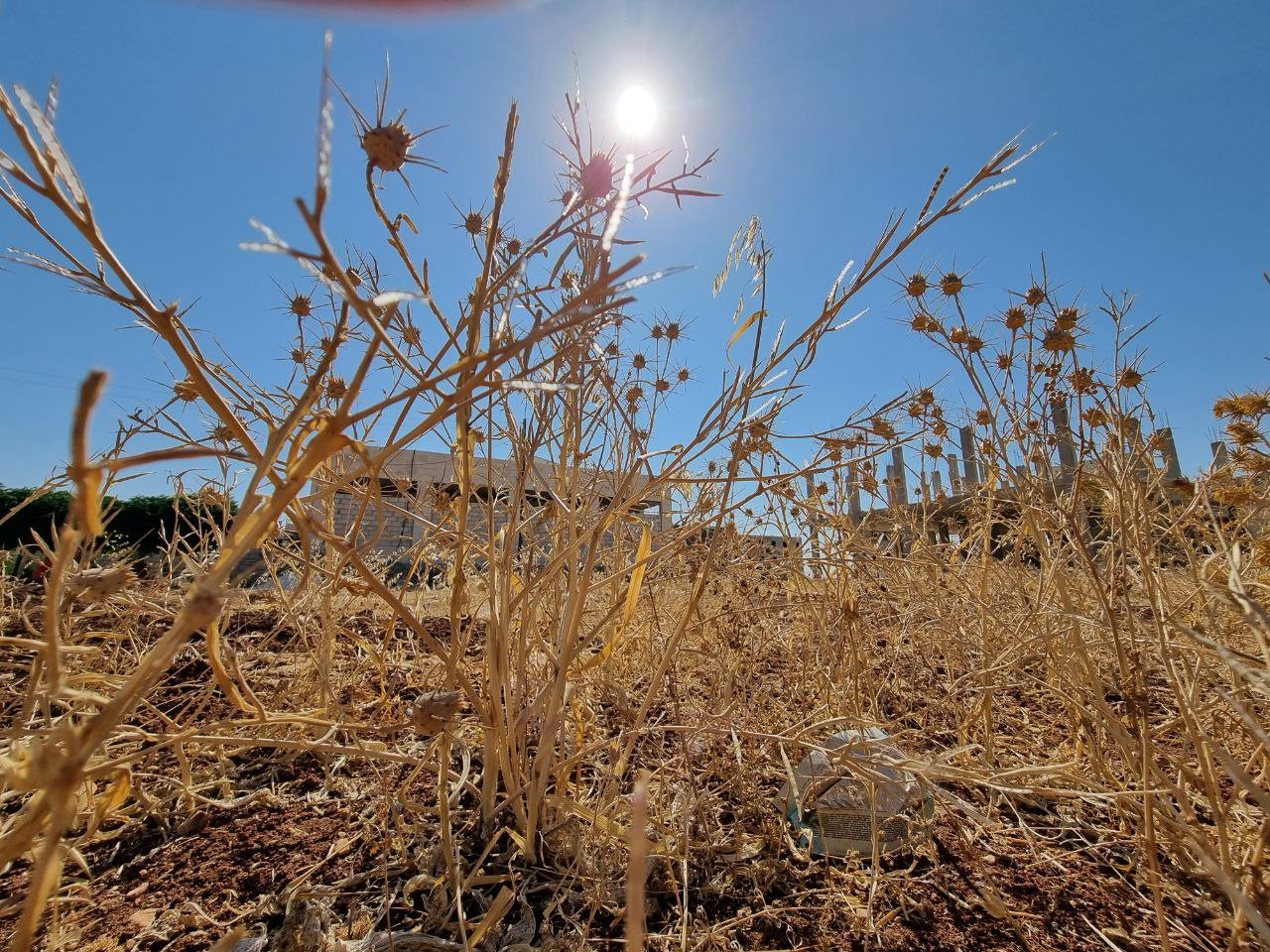 قطع مياه الأنهار والجفاف يهددا...