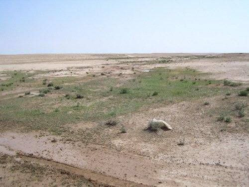 مصرع عنصر من قوات النظام بانفج...