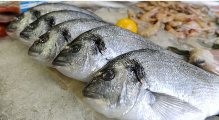 أثار موجة من الجدل.. كيلو سمك...