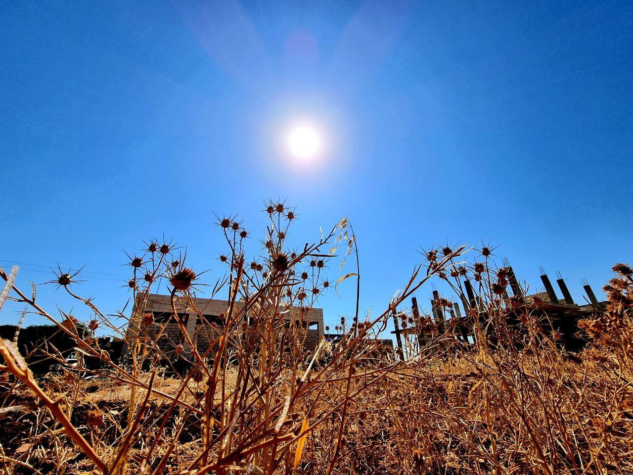 الدفاع المدني يُحذر الأهالي من...