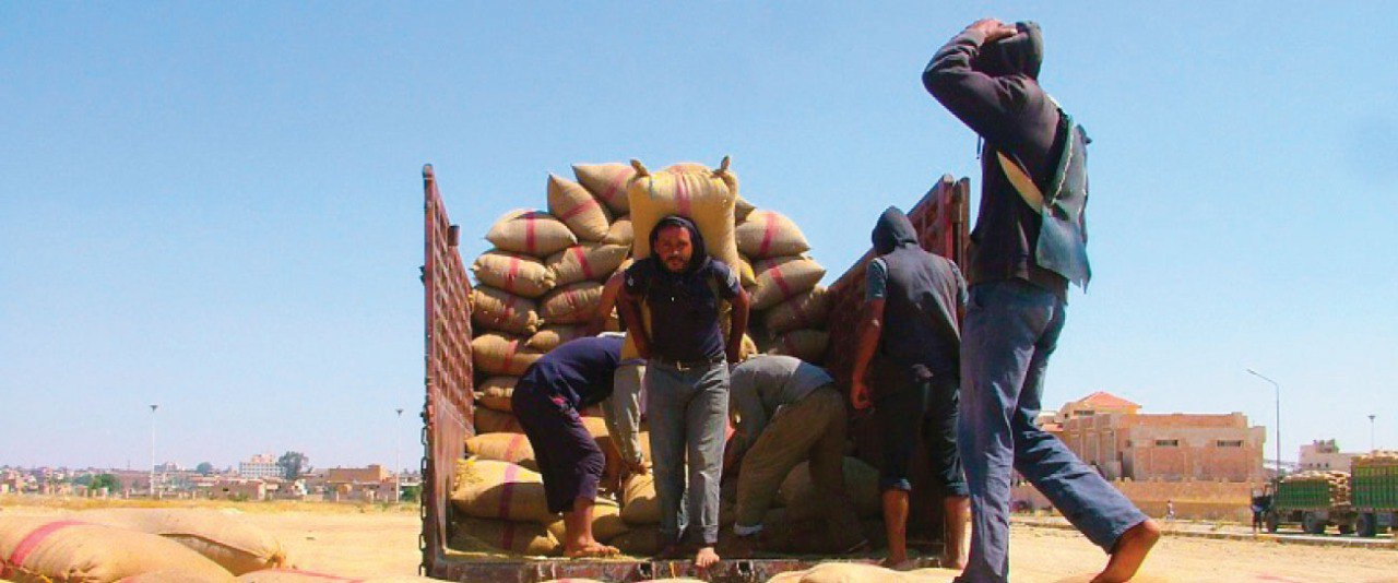 النظام يعتزم استيراد 1.4 مليون...