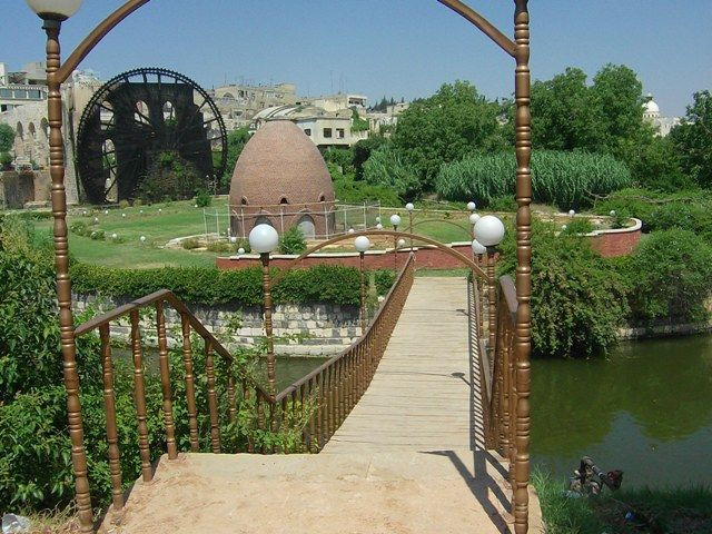 في حالة نادرة.. استئصال 8 أكيا...