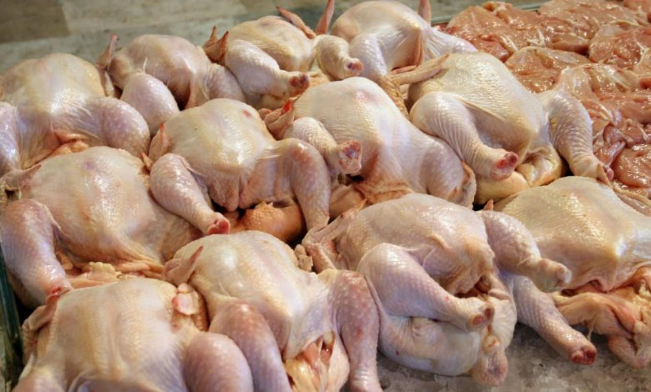 ارتفاع أسعار الفروج يدفع العائ...