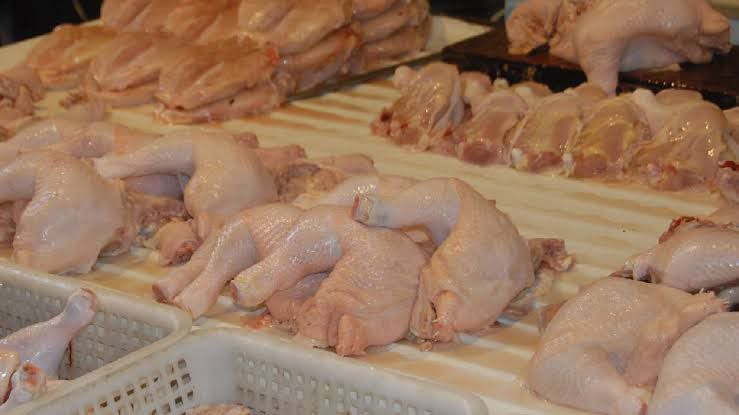 انخفاض الإقبال على شراء الفروج...