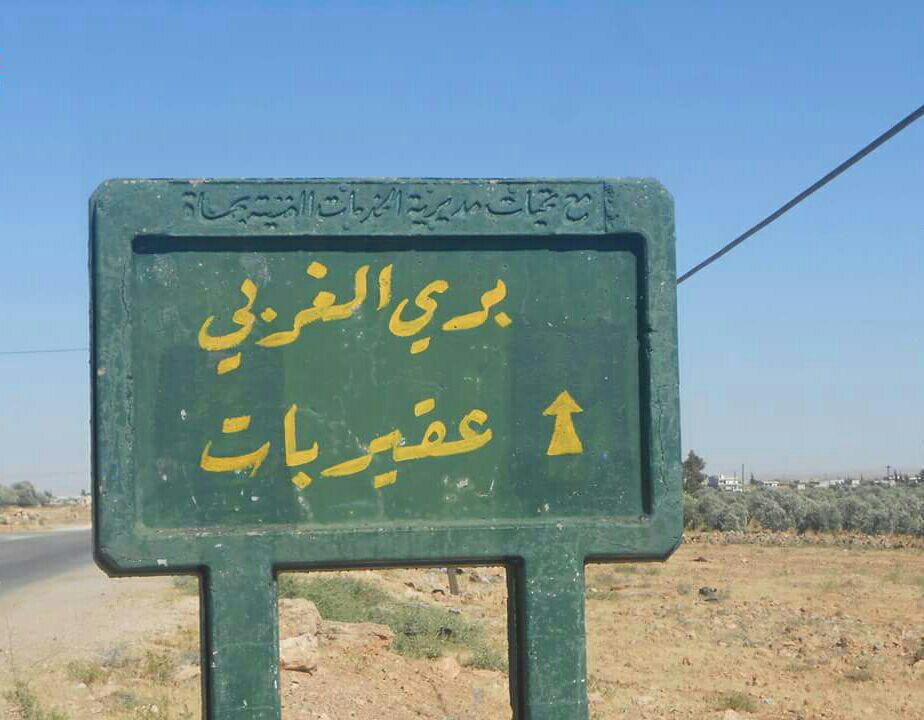 "عقيربات" بحماة مأساة مستمرة ب...