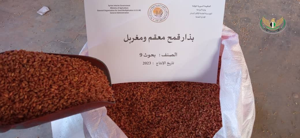 "الحكومة المؤقتة" تعلن بدء الا...