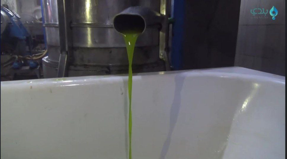 بعد وقف تصدير "زيت الزيتون" از...