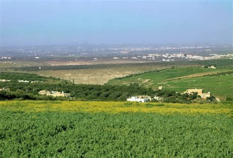 فلاحو درعا يلجؤون إلى «تضمين»...