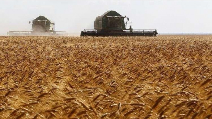 صحيفة موالية: روسيا تصدر القمح...