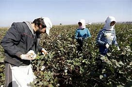 الأتراك يسدون الفجوة في نقص ال...