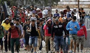 منظمات محلية وحكومية ووطنية تط...