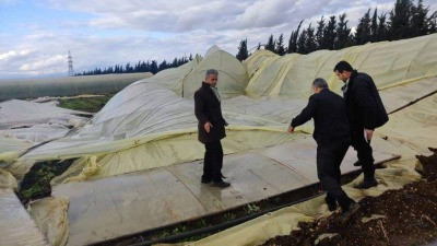 "تنين البحر" يتسبب بأضرار في ا...