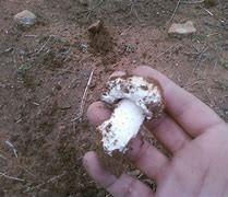 إصابة طفلين بقصف النظام أثناء...