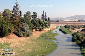  قتلى وجرحى لقسد  جراء محاولة...