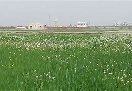 المخابرات الجوية تداهم منزلاً...