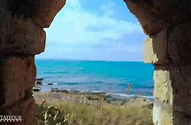 بقع نفطية  عند الشاطئ الصخري ل...