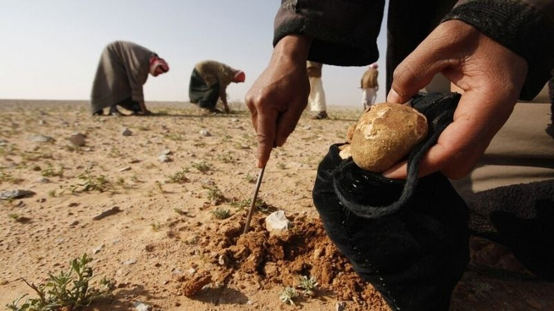 مقتل خمسة أشخاص من جامعي الكما...