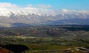 ماحقيقة تصريحات نائب رئيس "الم...