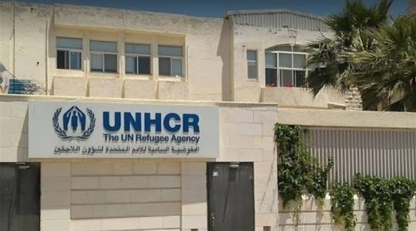 "الأمم المتحدة" تكشف عدد اللاج...