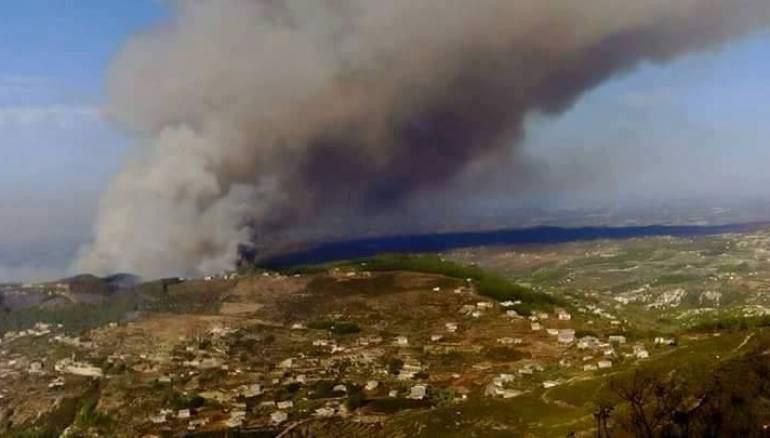 النظام يعوض خسائر بالملايين بـ...