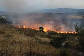 حرائق تطال الأراضي الزراعية شم...