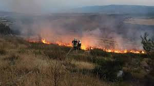 مع ارتفاع درجات الحرارة الحرائ...