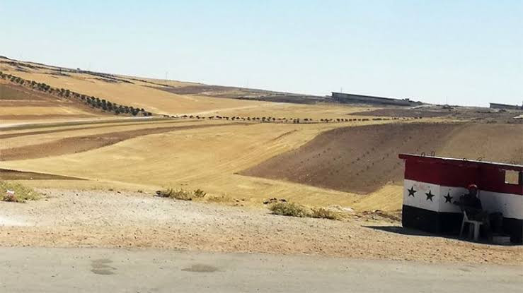 النظام يعثر على 10 جثث من عناص...