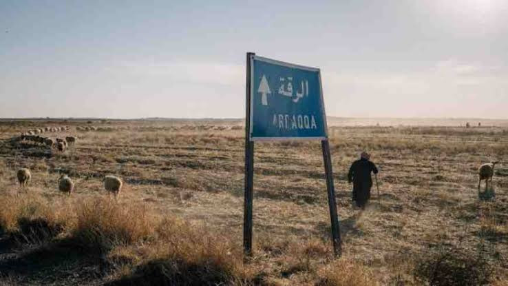 مسلحون يهاجمون رعاة أغنام في ب...