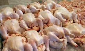 انخفاض أسعار الفروج في الأسواق...