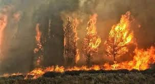 حرائق واسعة بريف القرداحة في ا...