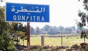 دورية مشتركة  تابعة للنظام تتع...