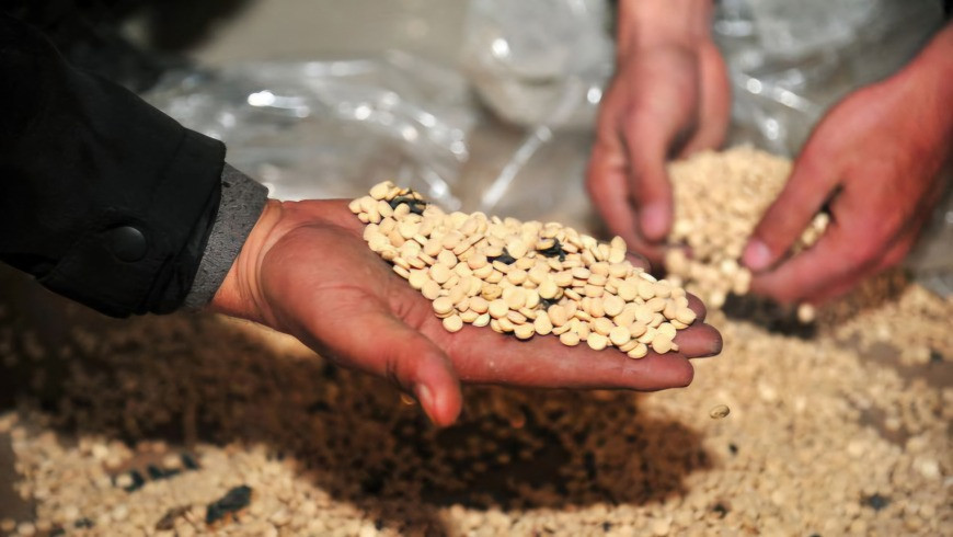 تحت غطاء نسائي وبوثائق مزورة.....