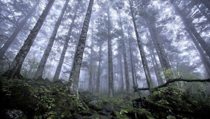 سقطت عليهما صخرة.. وفاة سورييّ...