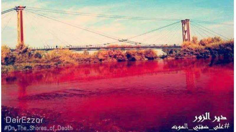 "على ضفتي الموت" تسلط الضوء عل...