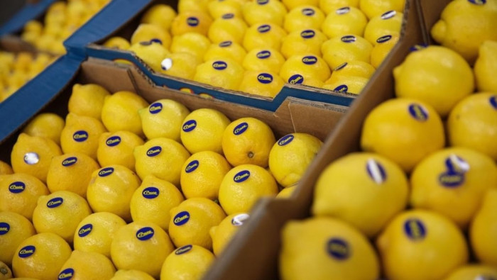 كيف تستفيد من تناول الليمون أك...