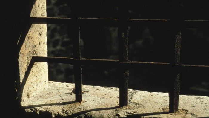 الشبكة السورية: 687 حالة اعتقا...