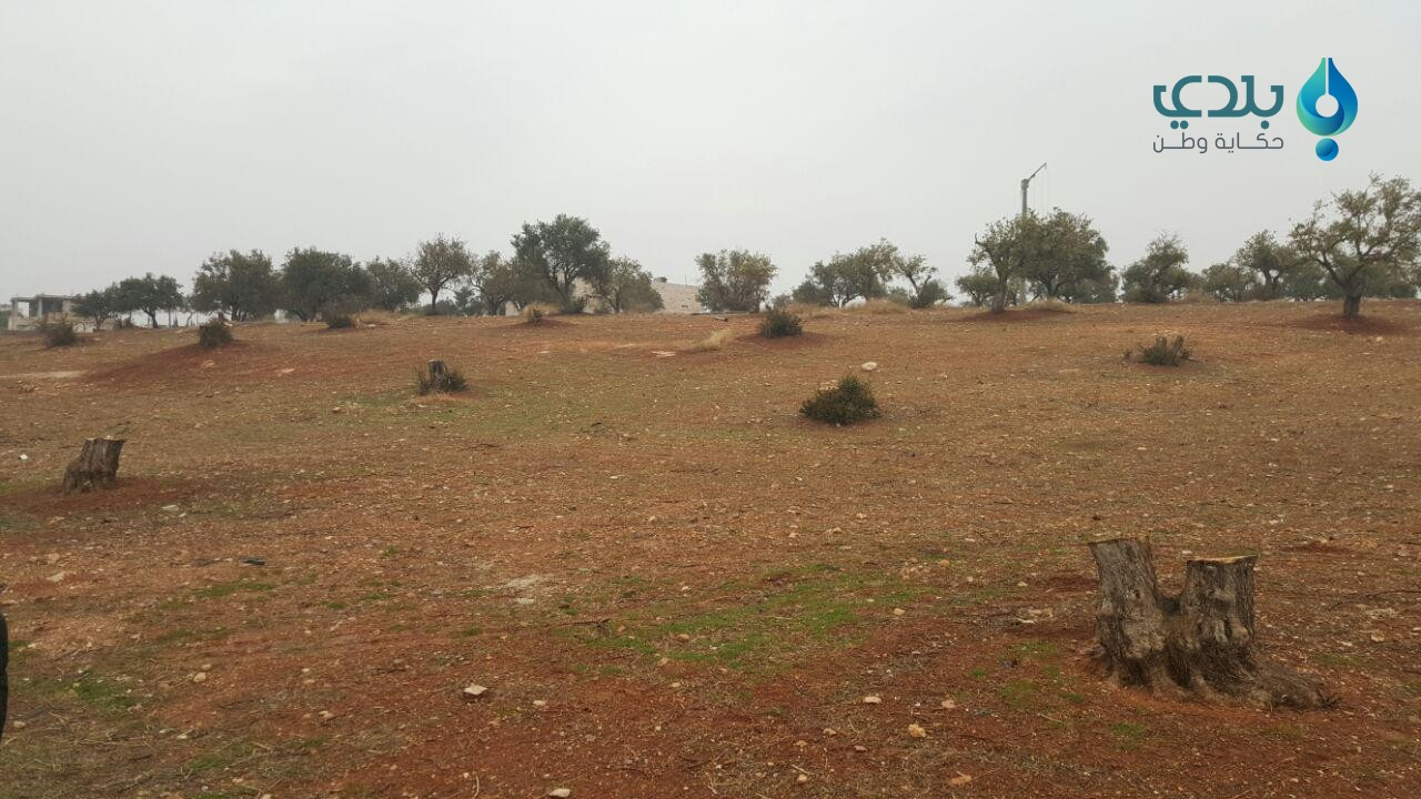 بالصور: القصف والتهجير يُفقدان...