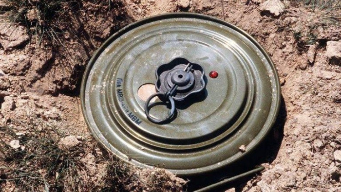 استشهاد ثلاثة أطفال بانفجار لغ...