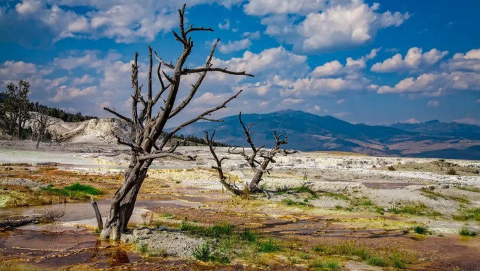 علماء يدقون ناقوس الخطر: مليون...