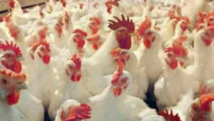 صحيفة رسمية موالية تبشر بارتفا...