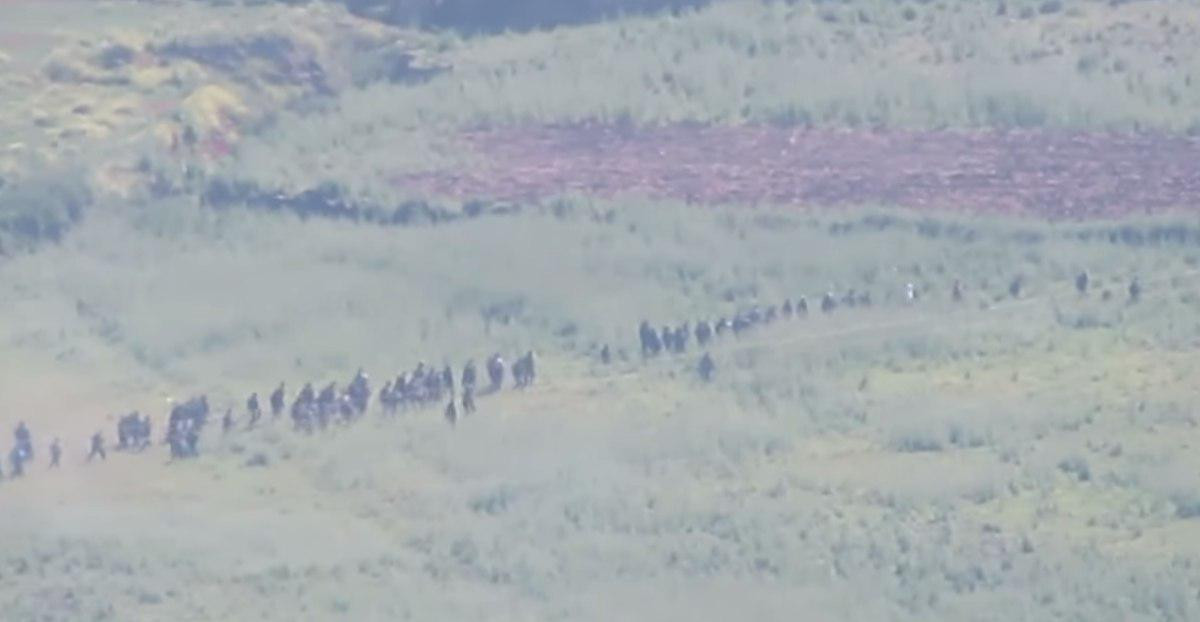 النظام يطلق معركة "#اللي_بحب_ا...