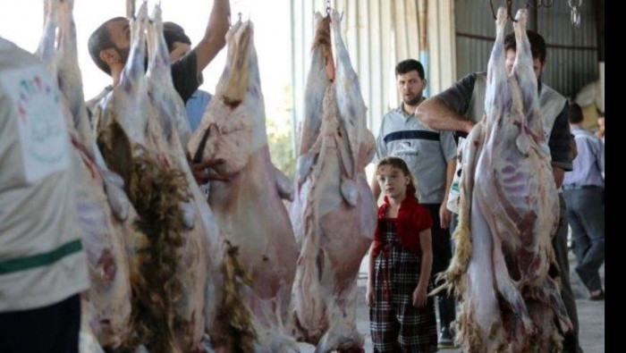 "منسقو الاستجابة" يستنكر اعتدا...