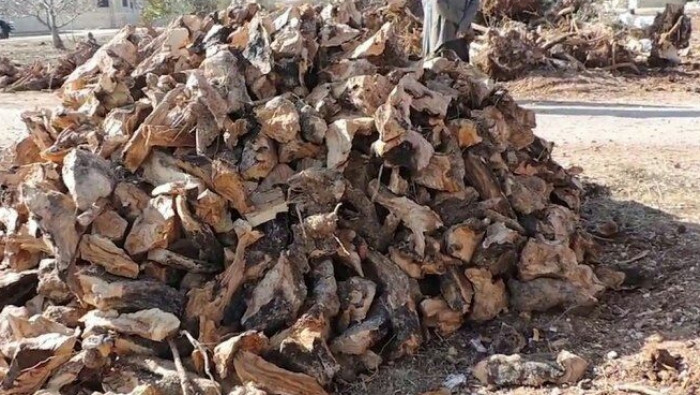 بعد احتكار "الإنقاذ" للمحروقات...