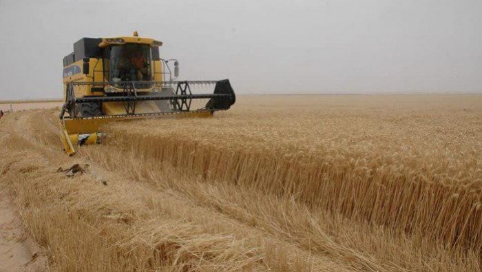 إدارة "ب ي د" تحدد تسعيرة القم...