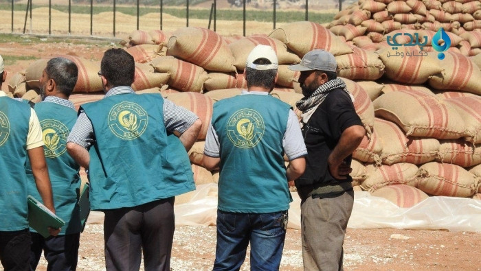"إكثار البذار" تستلم القمح من...